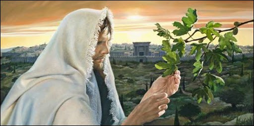 Jesus and a Fig Tree