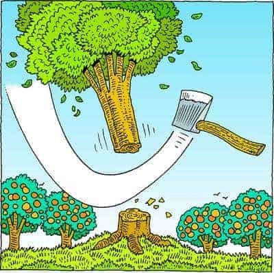 Cut Down Tree