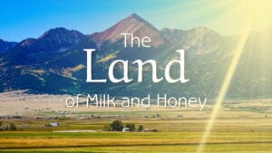 The Land of Milk and Honey - Israel